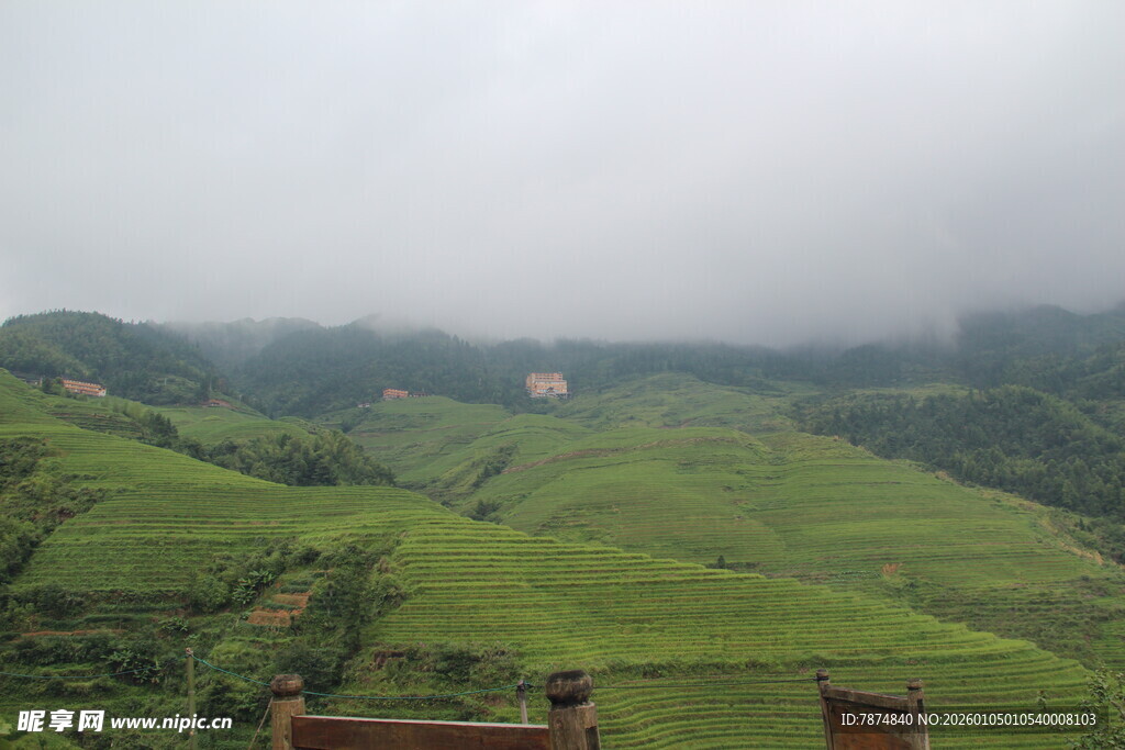 云雾缭绕的绿色梯田美景