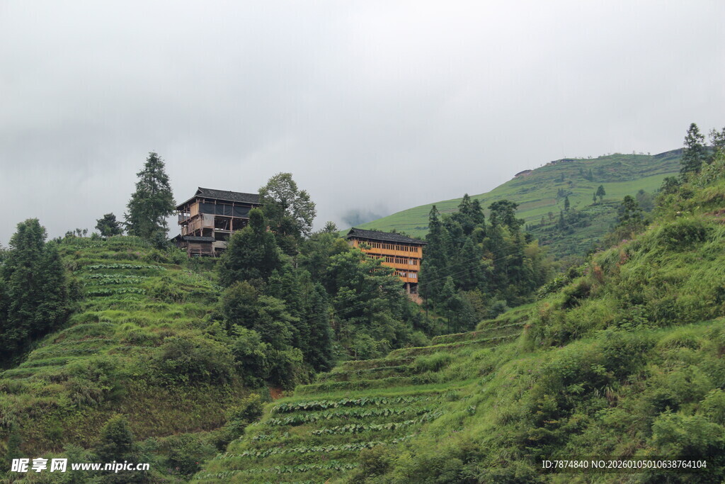 山间村落隐于葱郁梯田