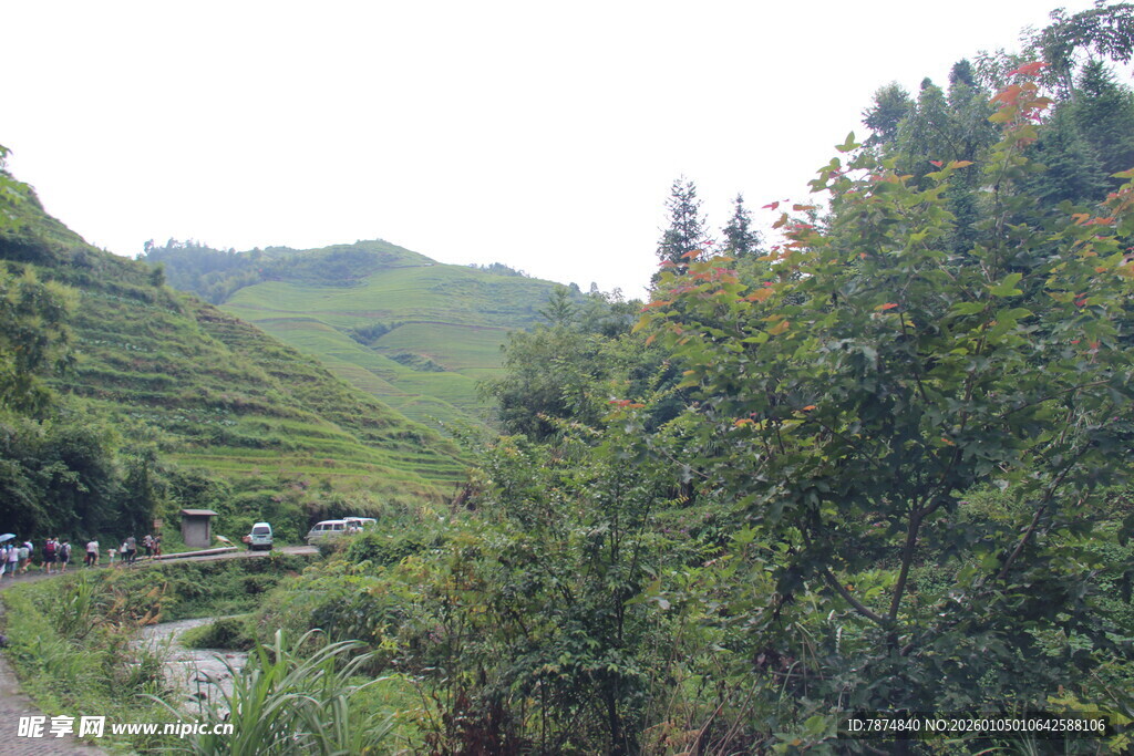 山间翠绿景色 蜿蜒小路