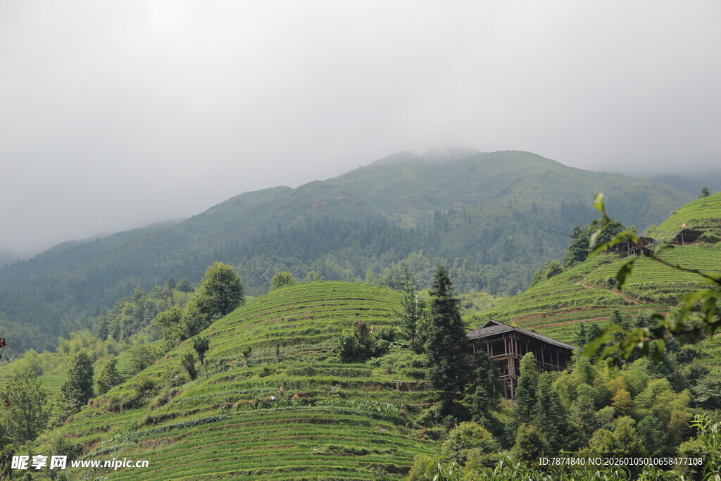 山间绿野中的静谧小屋