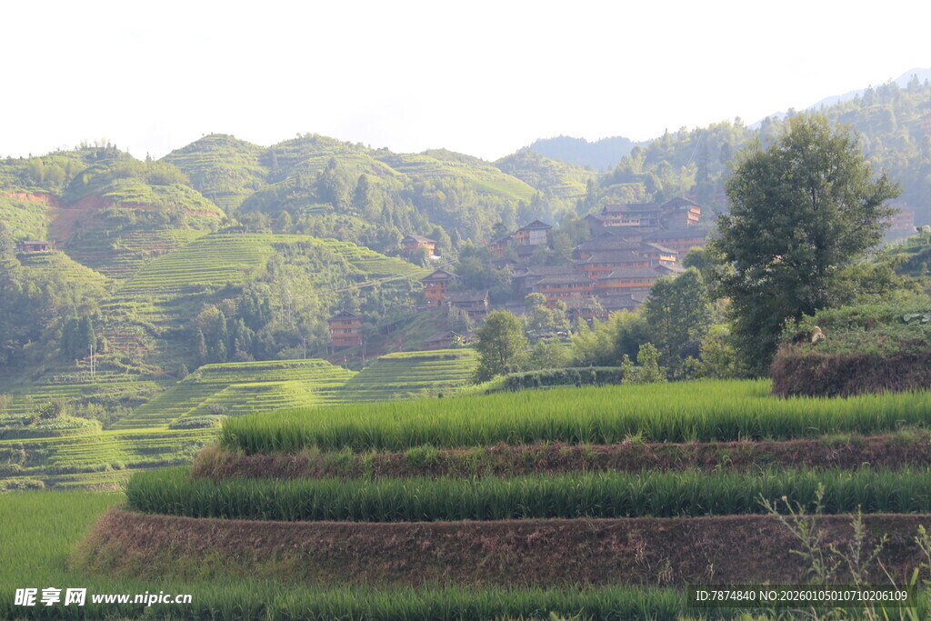 山间梯田美景
