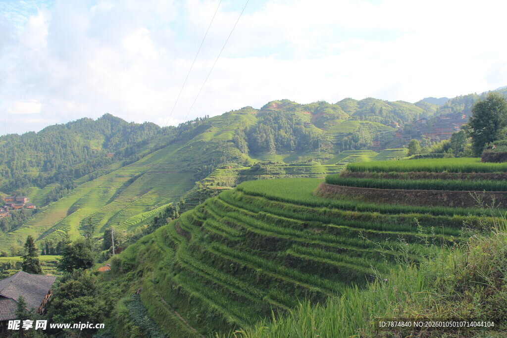 梯田美景 青山间的田园风光