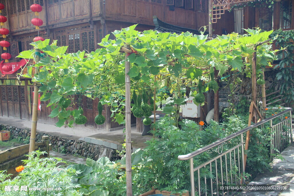 庭院绿植景观 自然惬意