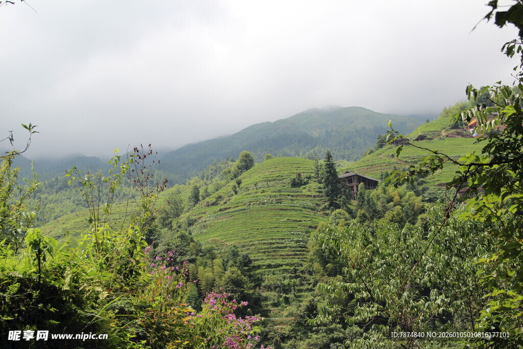 山间绿意盎然的秀丽景致