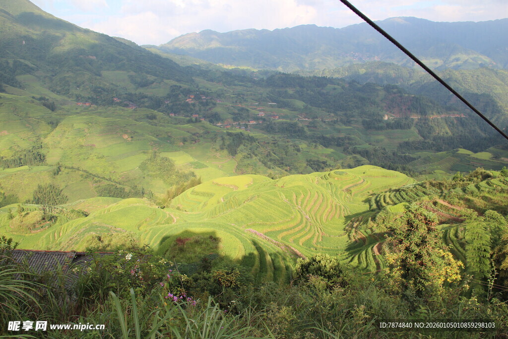 山间翠绿风光俯瞰美景