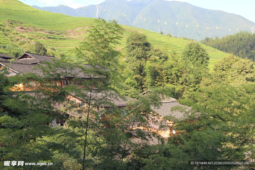 山间村落隐于葱郁绿意中