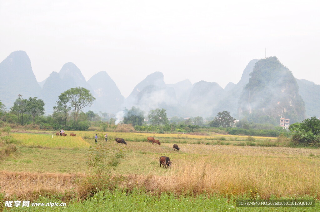 田园山水间的静谧风光