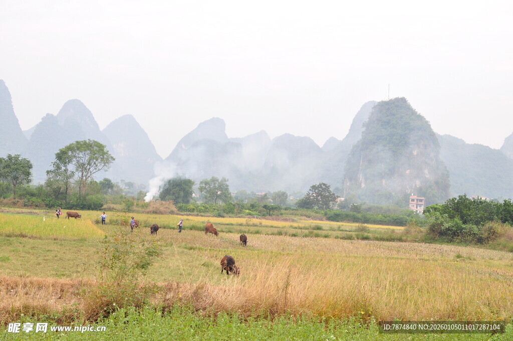 田园山水间的农忙景象