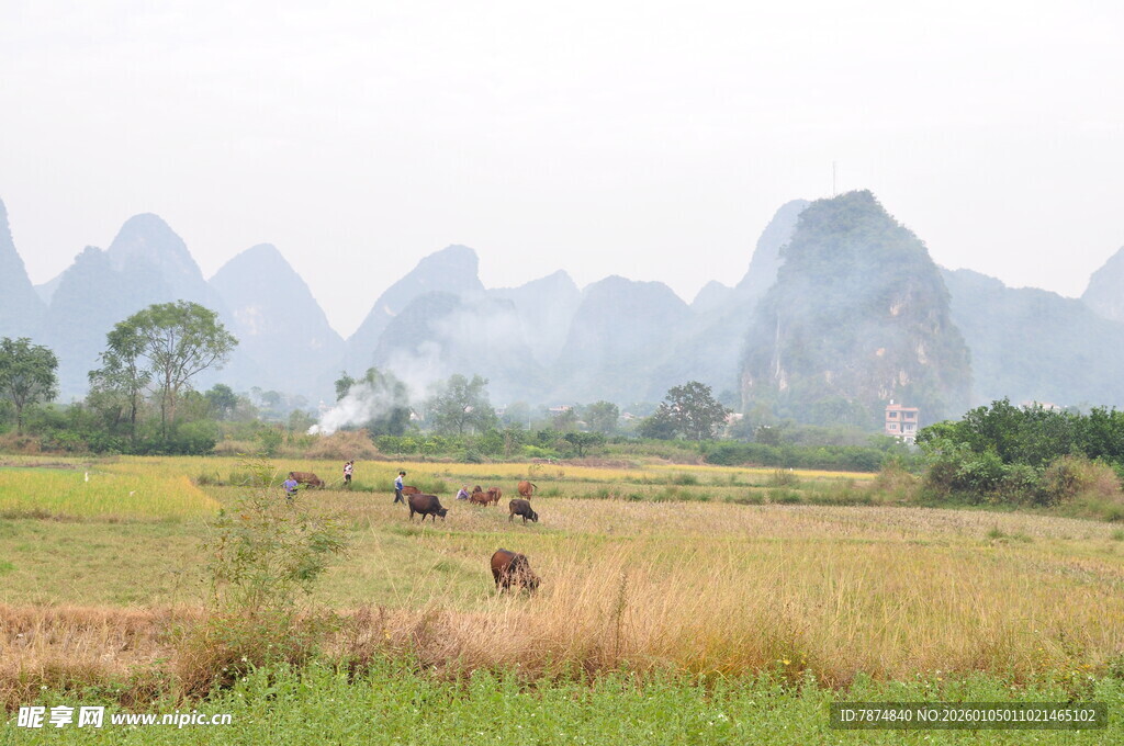 田园山水间的悠然景致