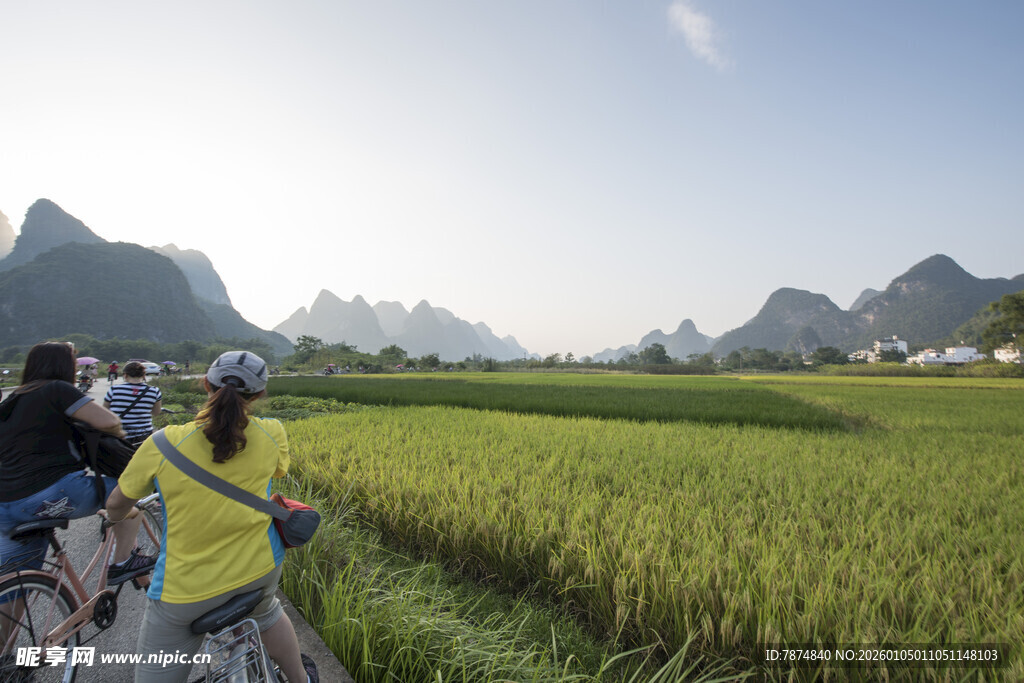 稻田骑行赏秀丽山水