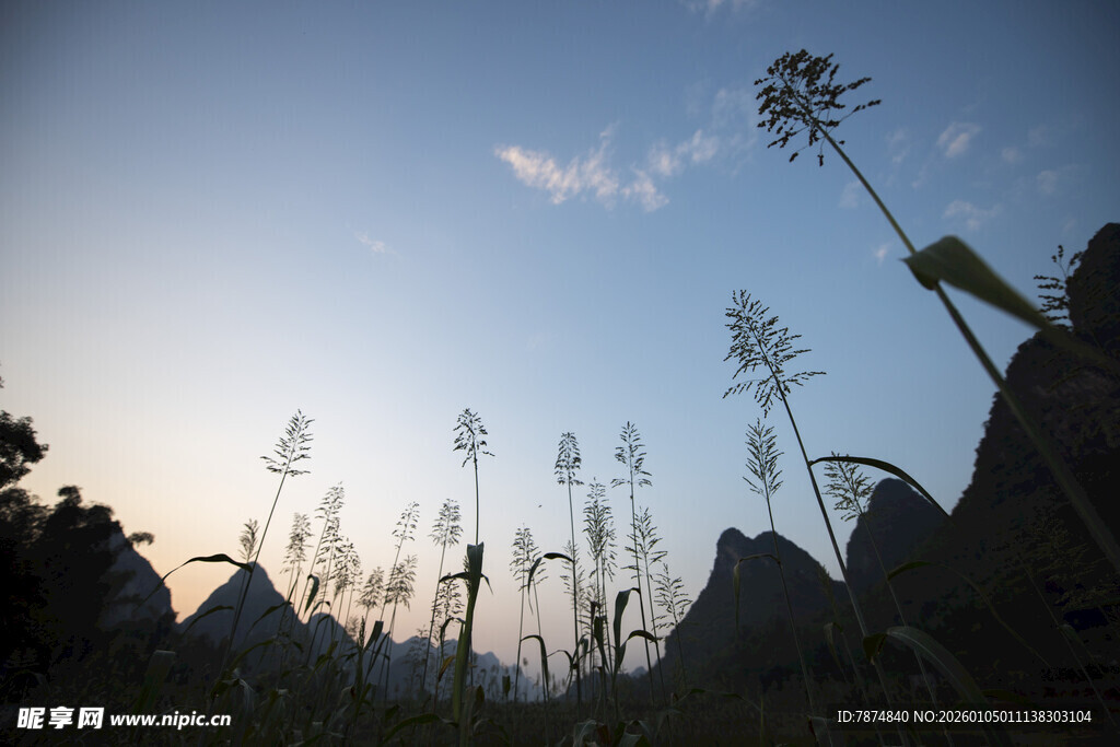 夕阳下的野草与远山