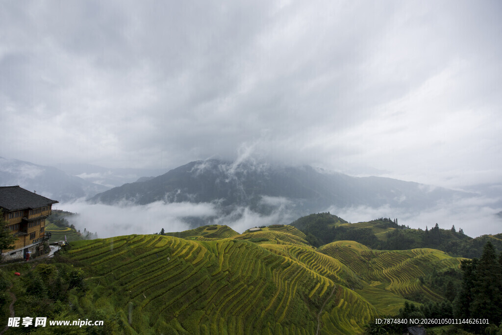 云雾缭绕的壮美梯田景观