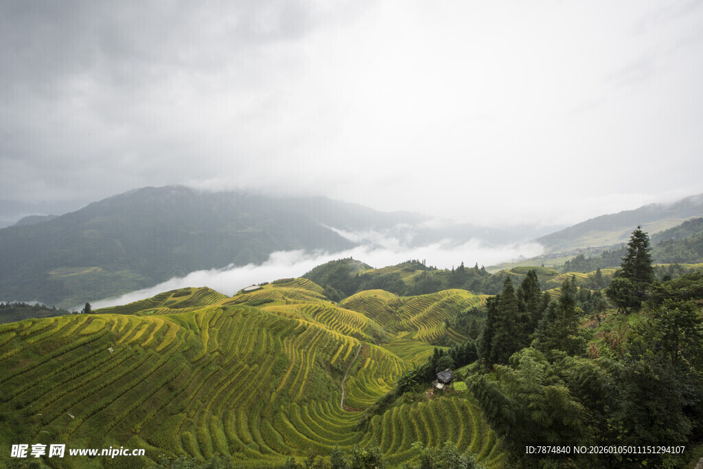 山间梯田美景 云雾缭绕