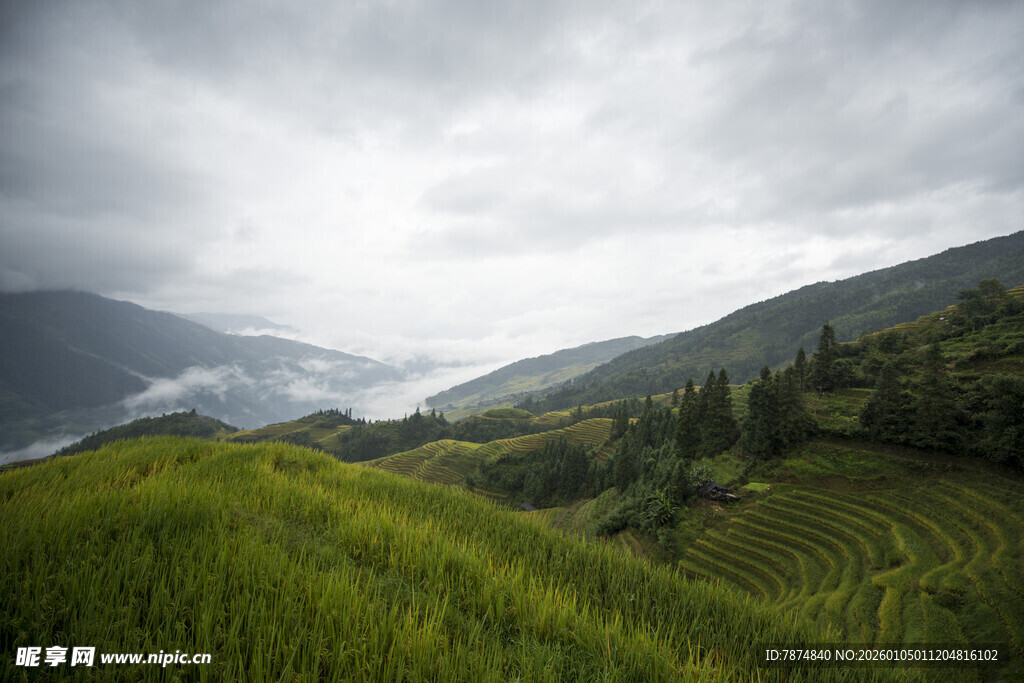 山间绿野梯田美景