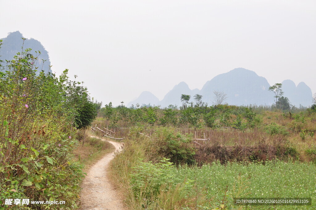 乡间小径 远山近景