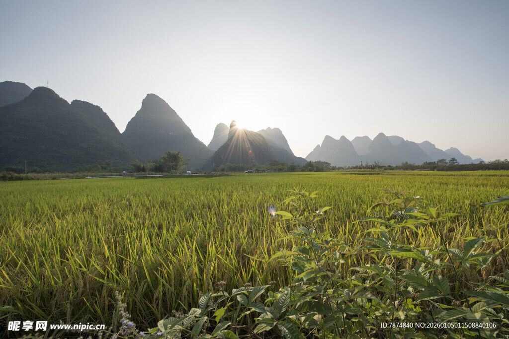田园山水间的绝美日出