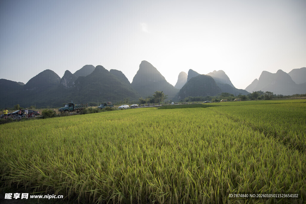 田园稻田与远山美景