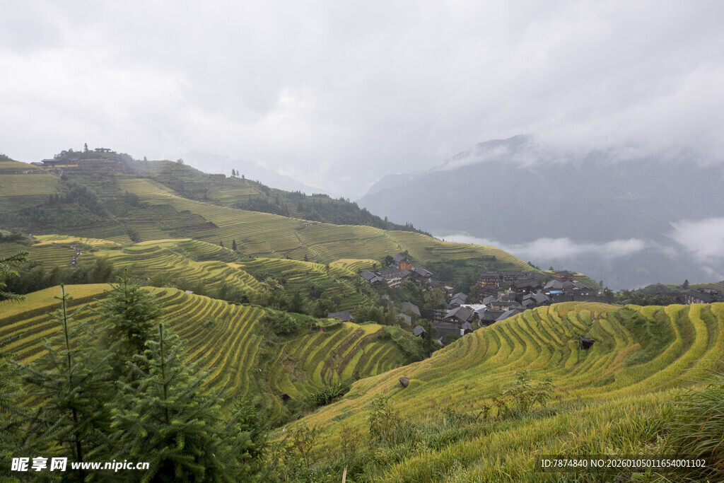 云雾缭绕的壮美梯田景观