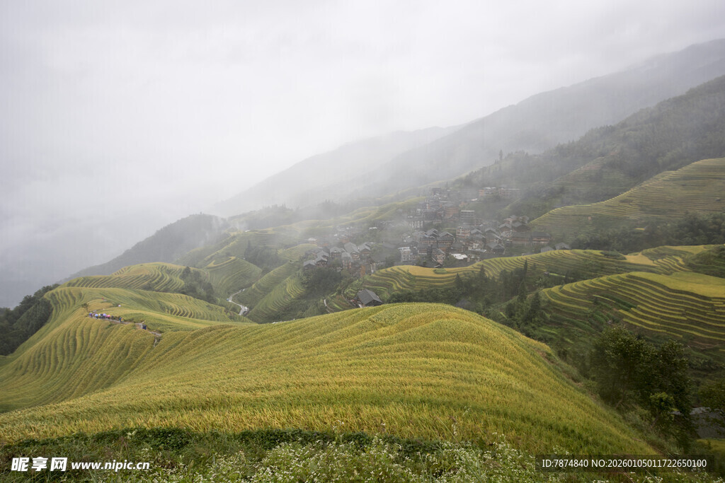 山间云雾缭绕的翠绿梯田
