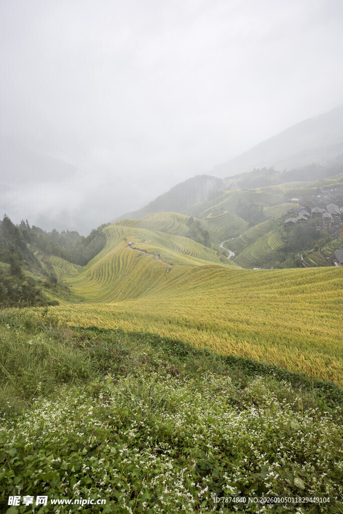 山间绿野 云雾中的诗意景致