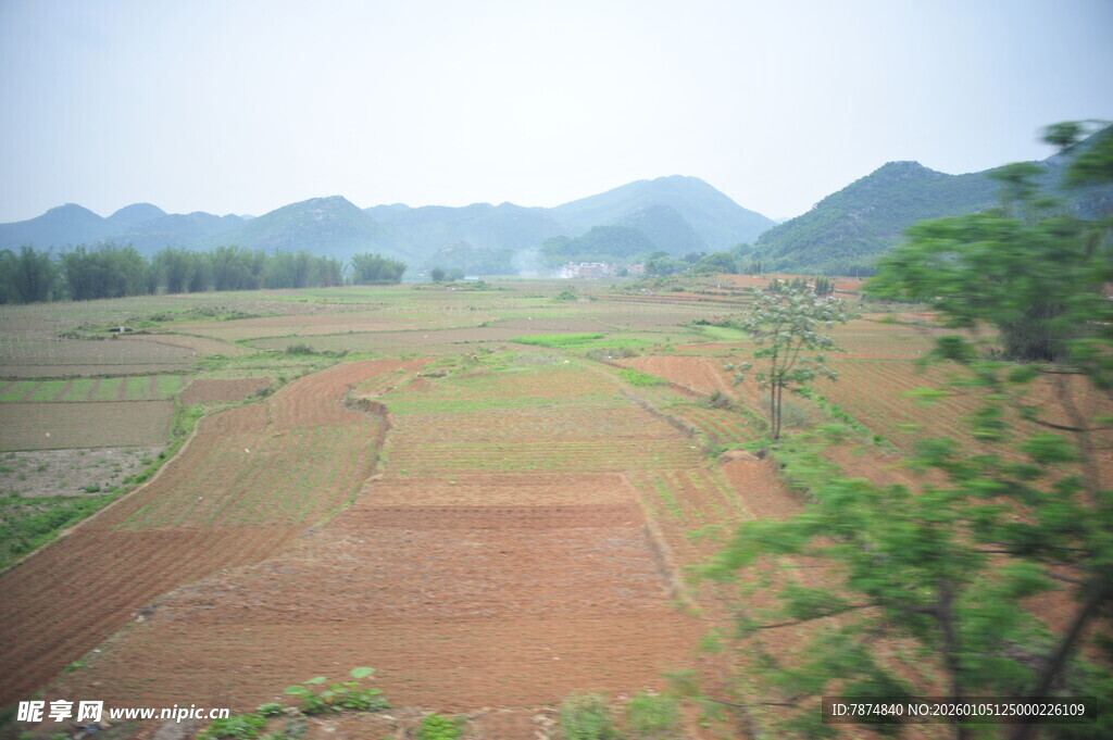 田园风光 广袤田野与远山