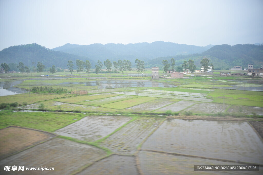 田园水田风光