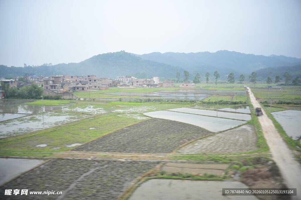 田园风光中的水田与远山