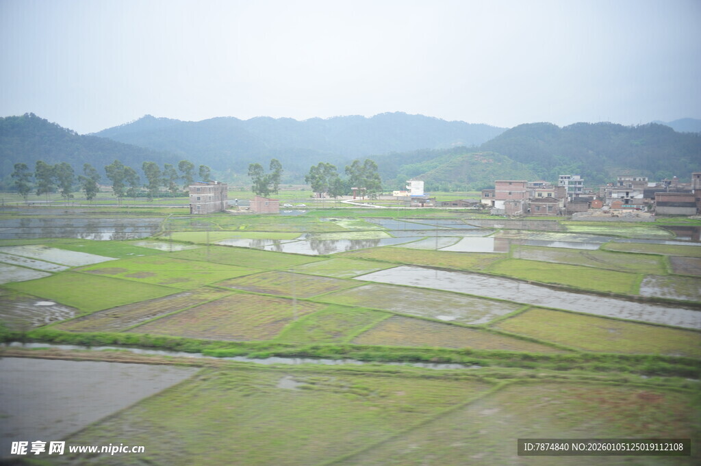 乡村田野水田风光景色