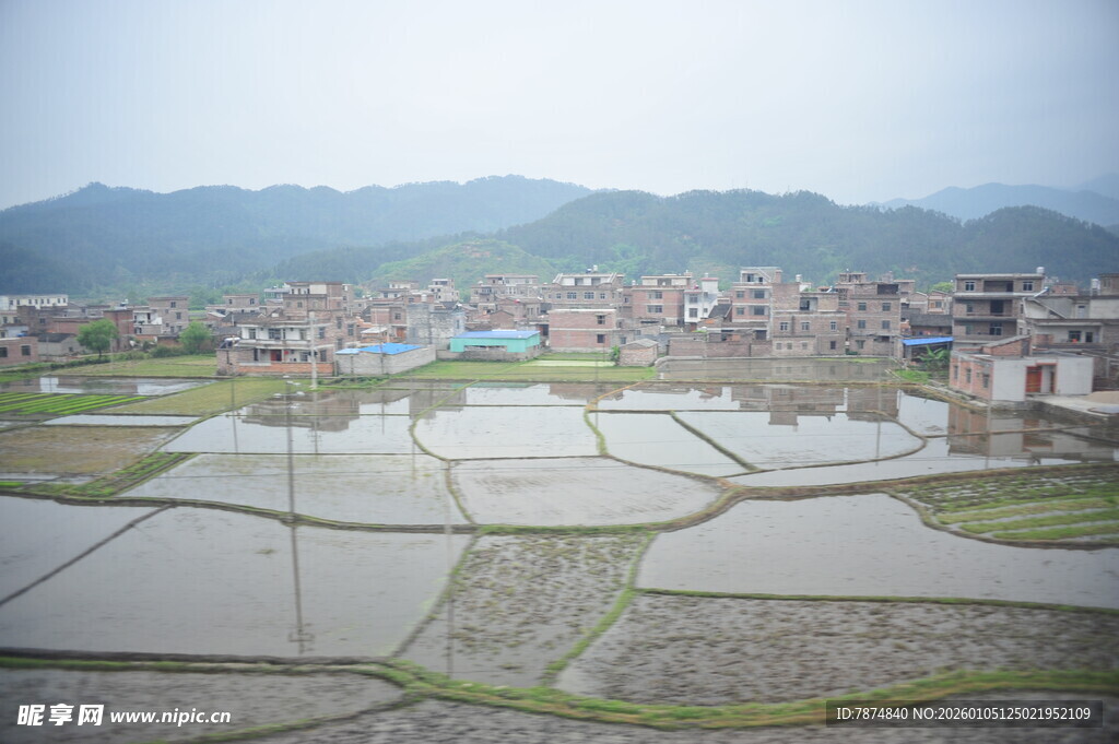 乡村水田与错落民居景观