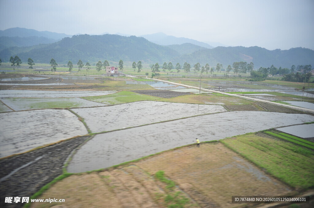 田园风光下的整齐农田