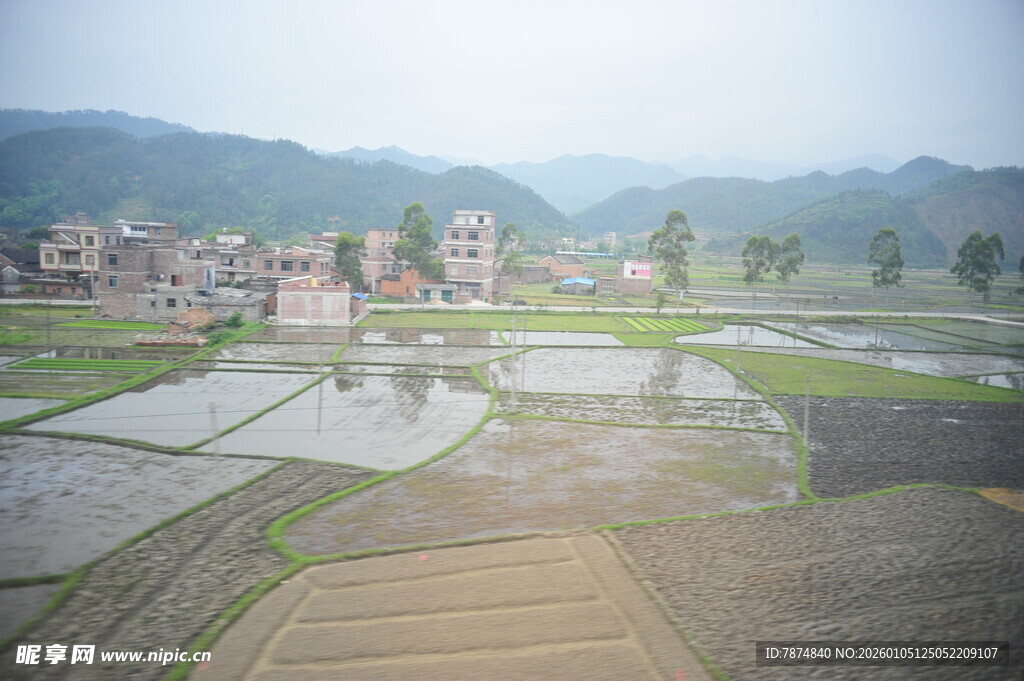 乡村水田与远处村落景观