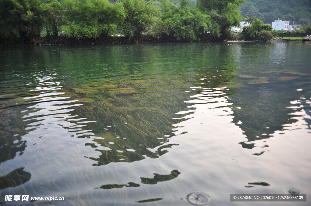 宁静湖水映绿树