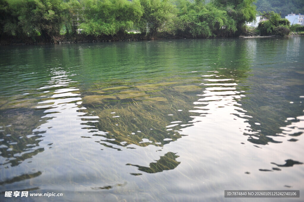 宁静湖水映岸边葱郁绿树