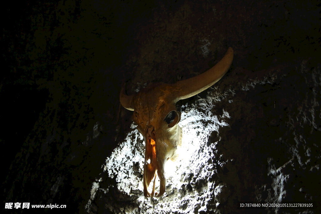 黑暗中的牛头
