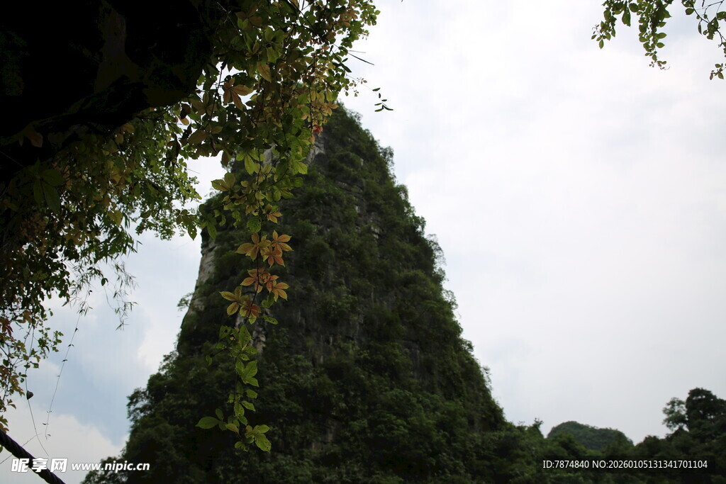 藤蔓缠绕的古老尖塔