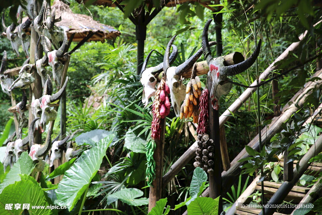 丛林中的奇异牛头装饰