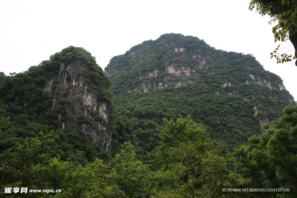 秀丽山峦与繁茂植被景观