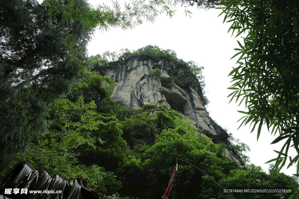 翠绿山林中的巍峨岩石