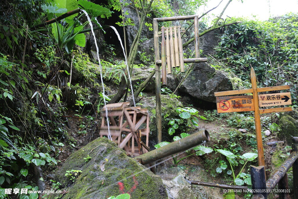 丛林中的古朴木质景观