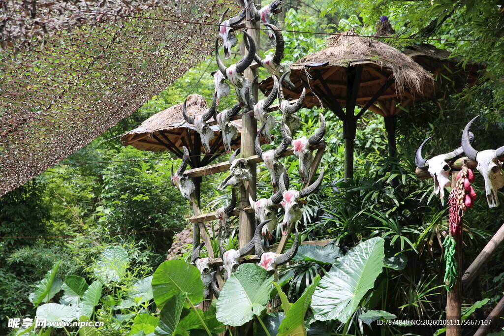 丛林中的特色悬挂装饰物