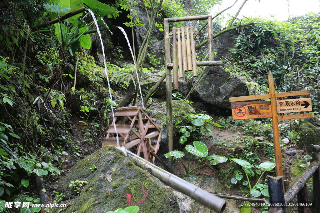 丛林中的古朴水车与路标