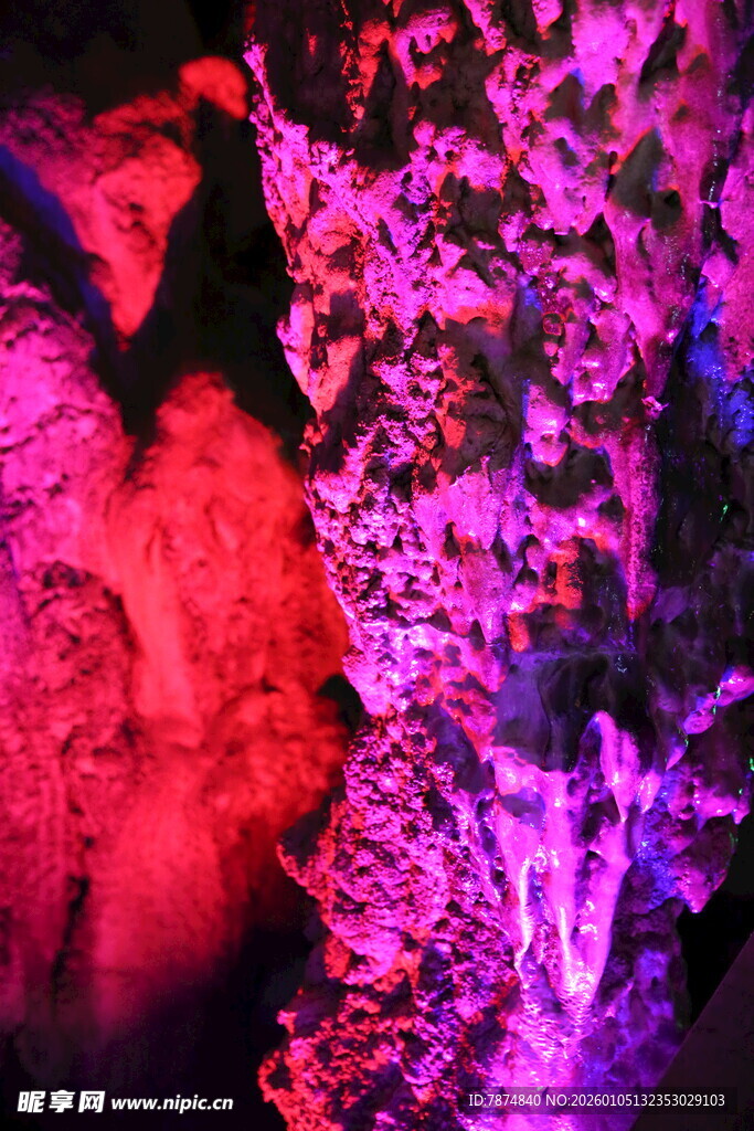 梦幻灯光下的花卉景观