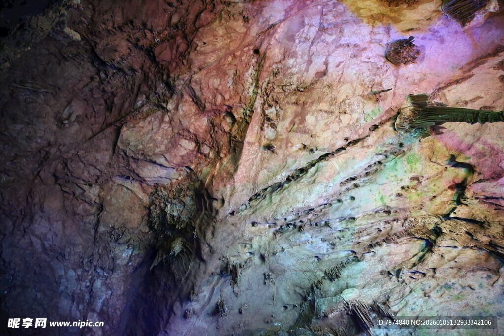 梦幻色彩的抽象树枝图景