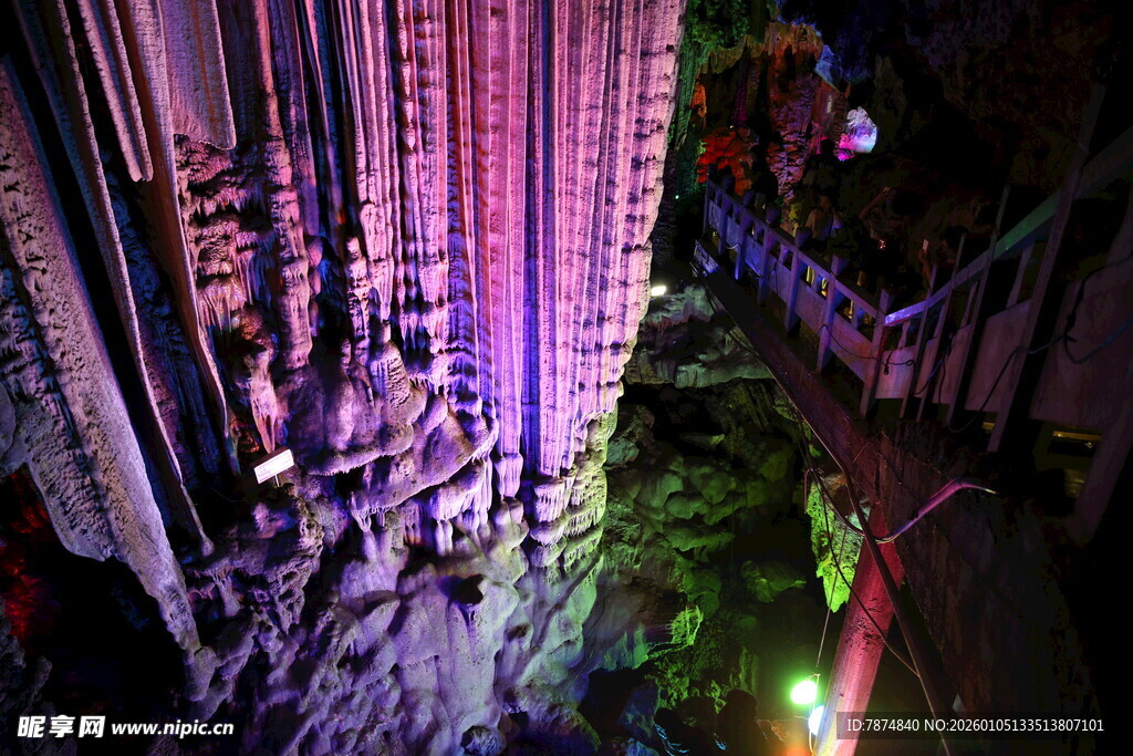 梦幻灯光下的绿植景观