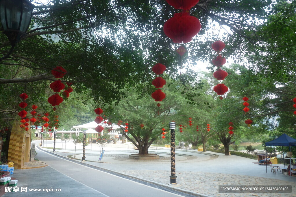 街道绿树间的红灯笼点缀