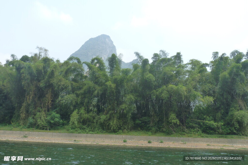 河畔葱郁树林与远山