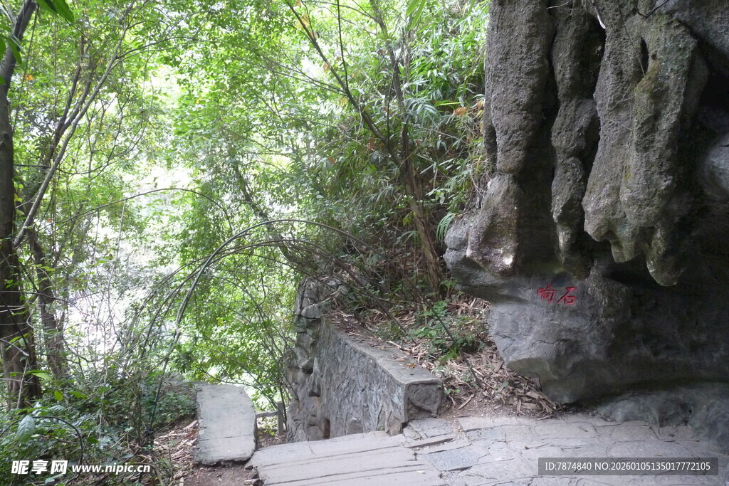 山间石阶 隐于葱郁林木间