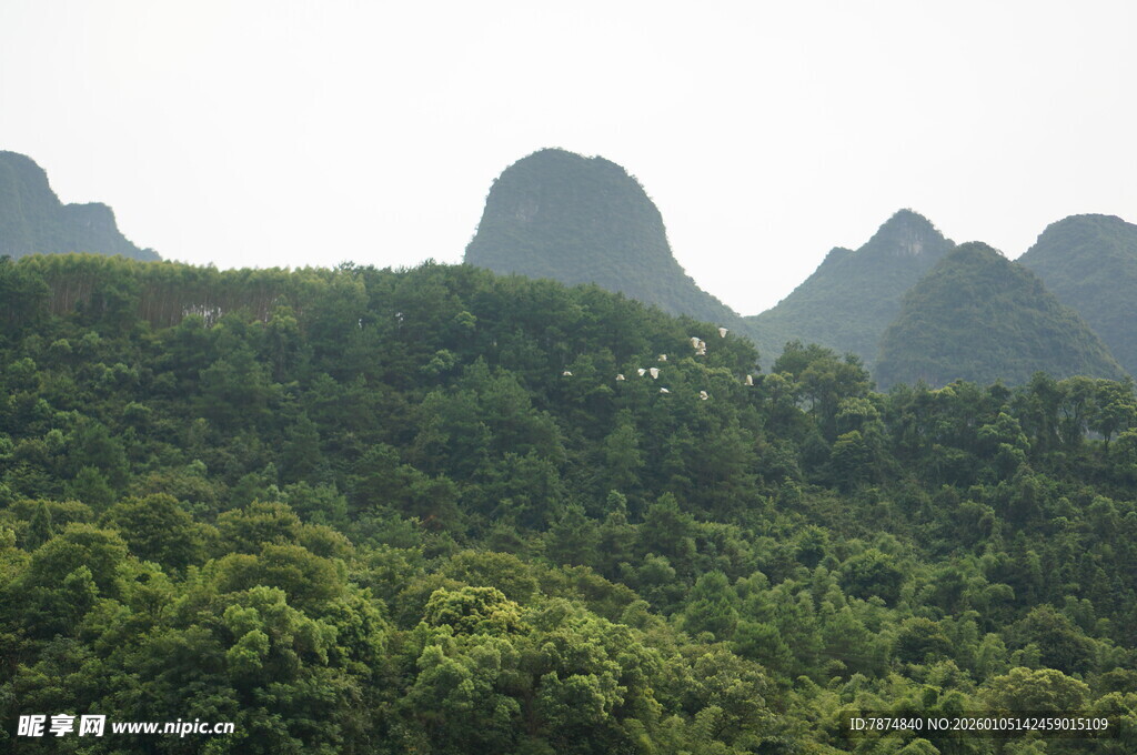 青山葱郁的秀丽自然景观