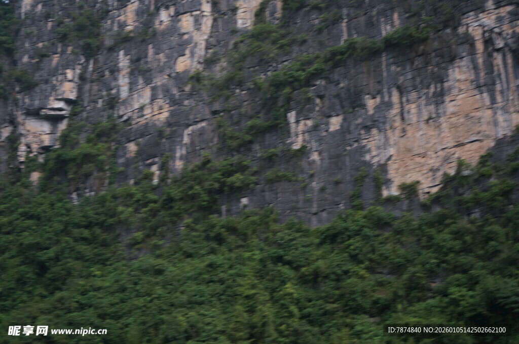 陡峭山崖下的茂密植被