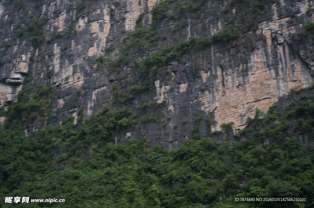 陡峭山壁与繁茂植被